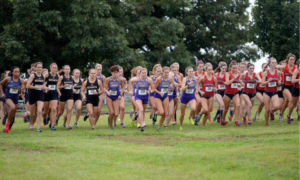 JMU Cross Country Year in Review