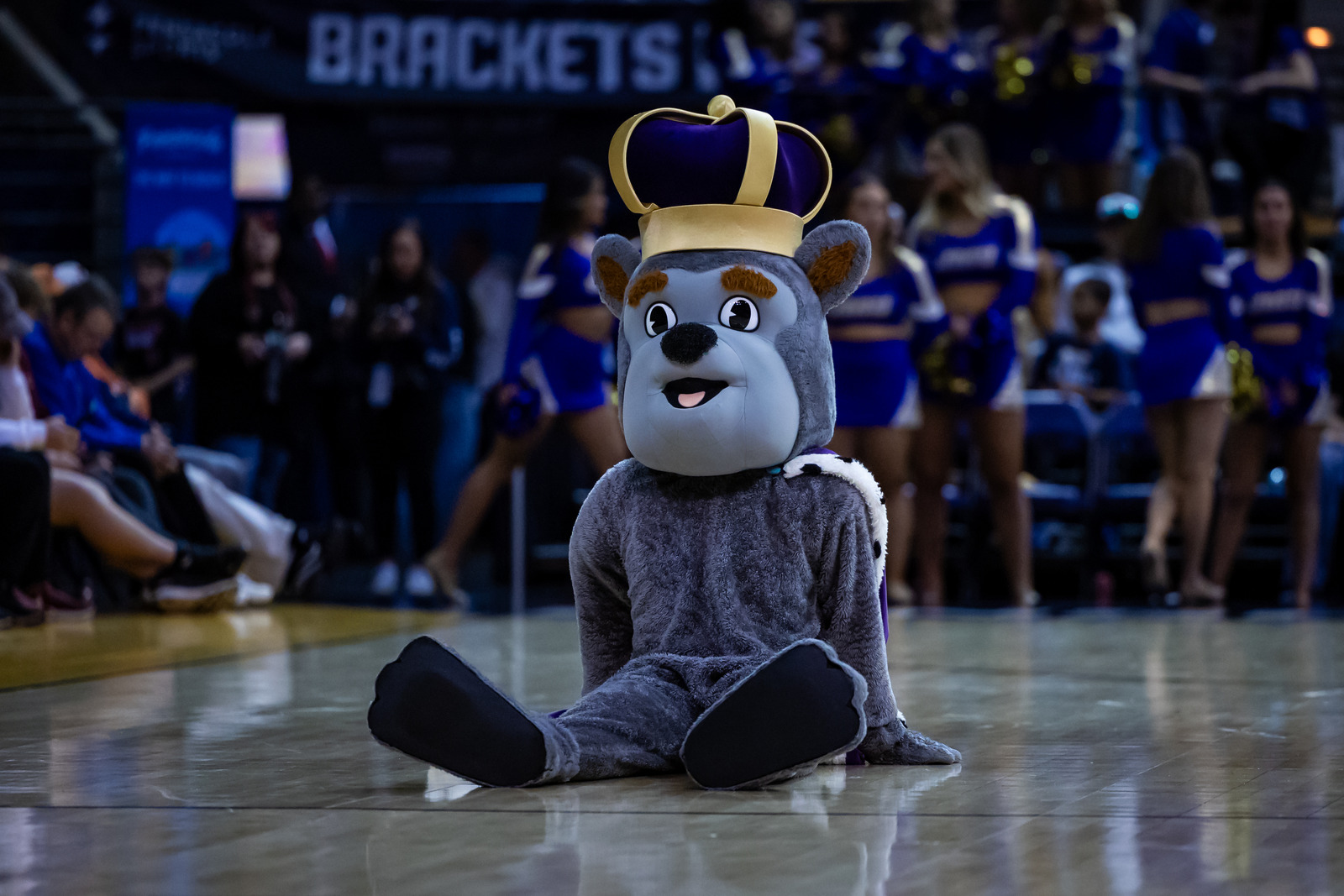 Bracket Prediction: What Seed Will JMU Receive in the NCAA Tournament?