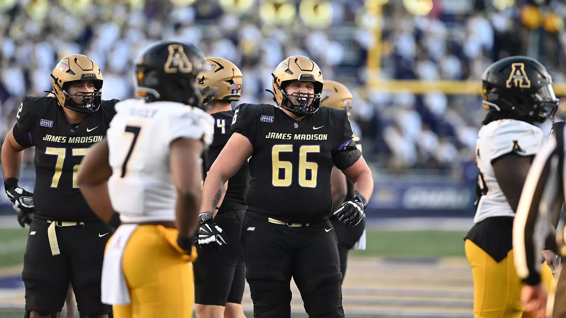 cole potts against app state